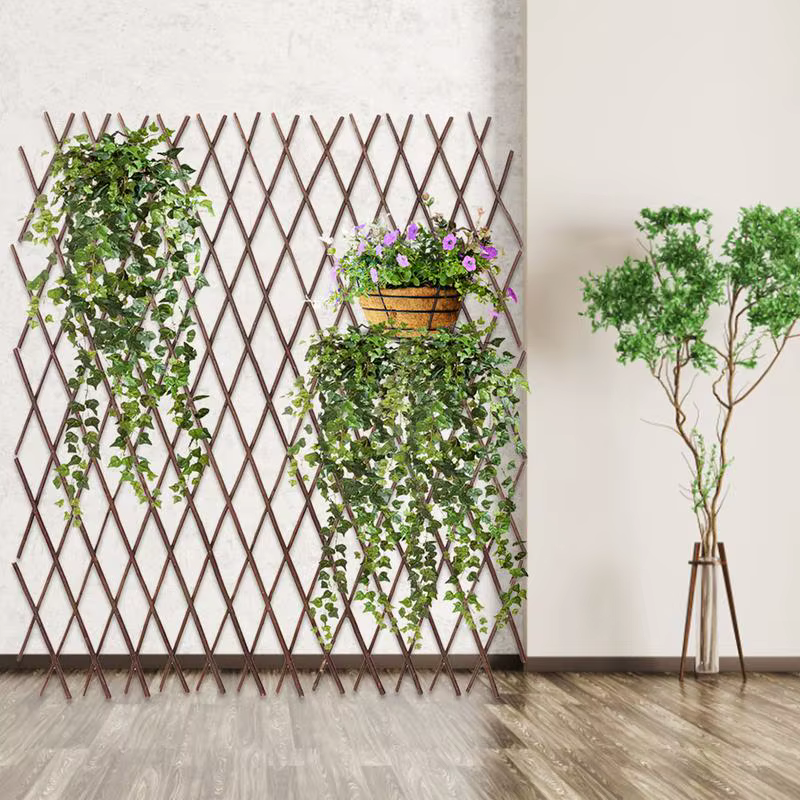 Clôture en bois rétractable Durable pour plantes
