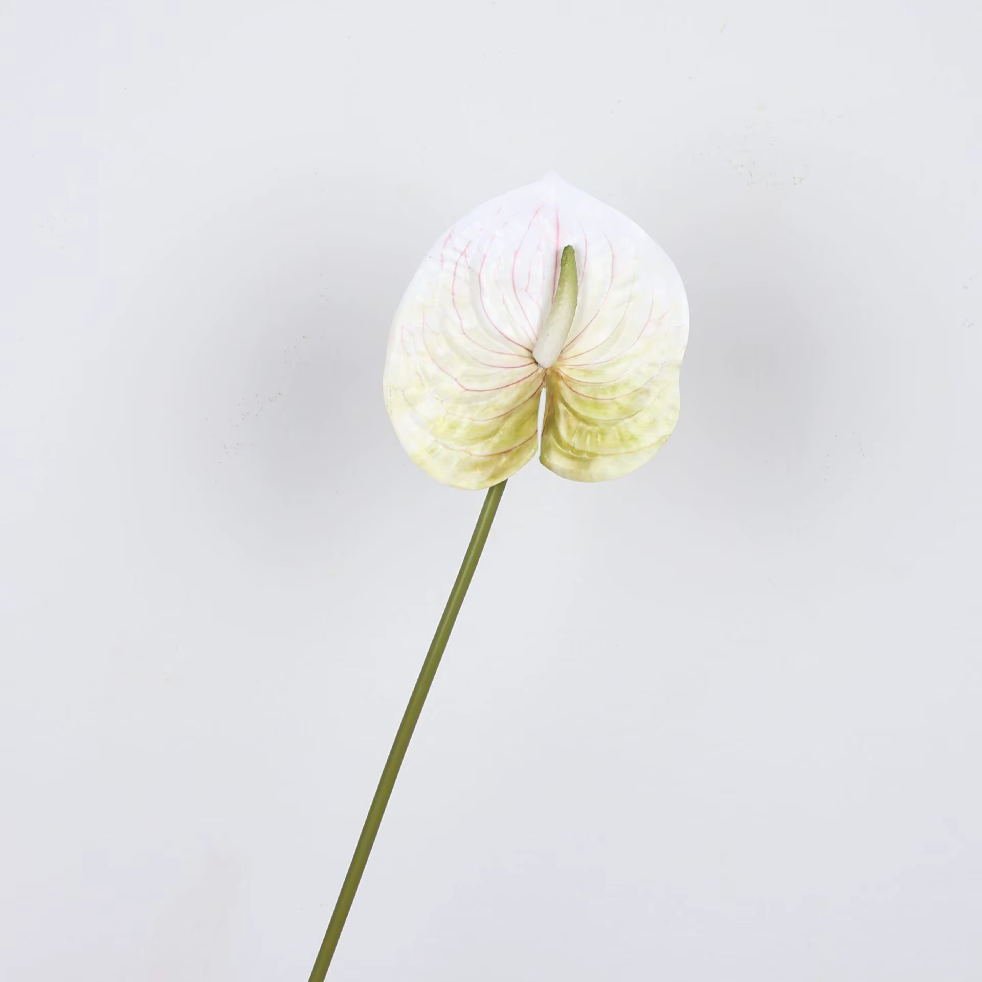 Plantes en pot de lys de paix d'anthurium artificiel de 22.4 pouces