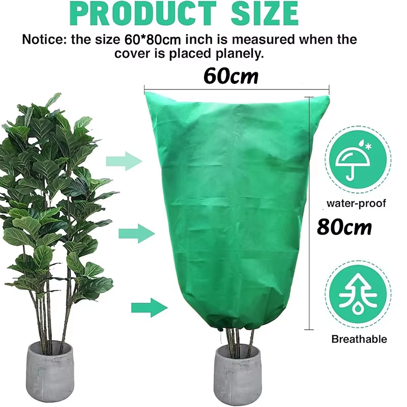 Couverture de Protection des plantes d'hiver