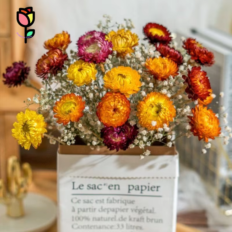 Fleurs de marguerite naturelles, 15 tiges, marguerites multicolores, tournesols artificiels, fleurs sèches d'automne, fleurs oranges, bouquets DIY pour vase, décoration de la maison