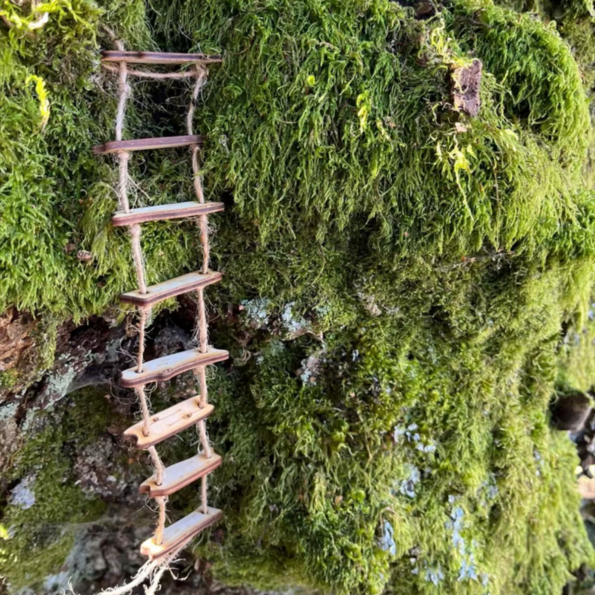 Échelle de corde de pont de fée en bois