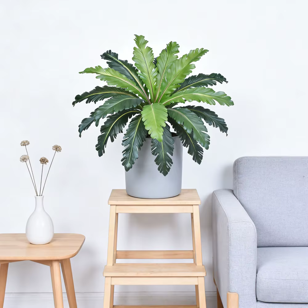 Plantes artificielles de fougère tropicales vertes de 45-50 cm