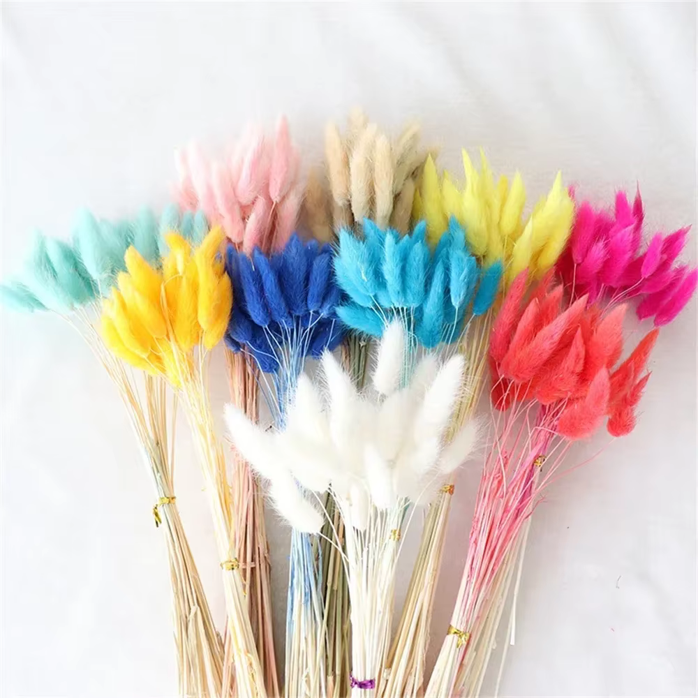 Fleurs naturelles séchées pour décoration de gâteau