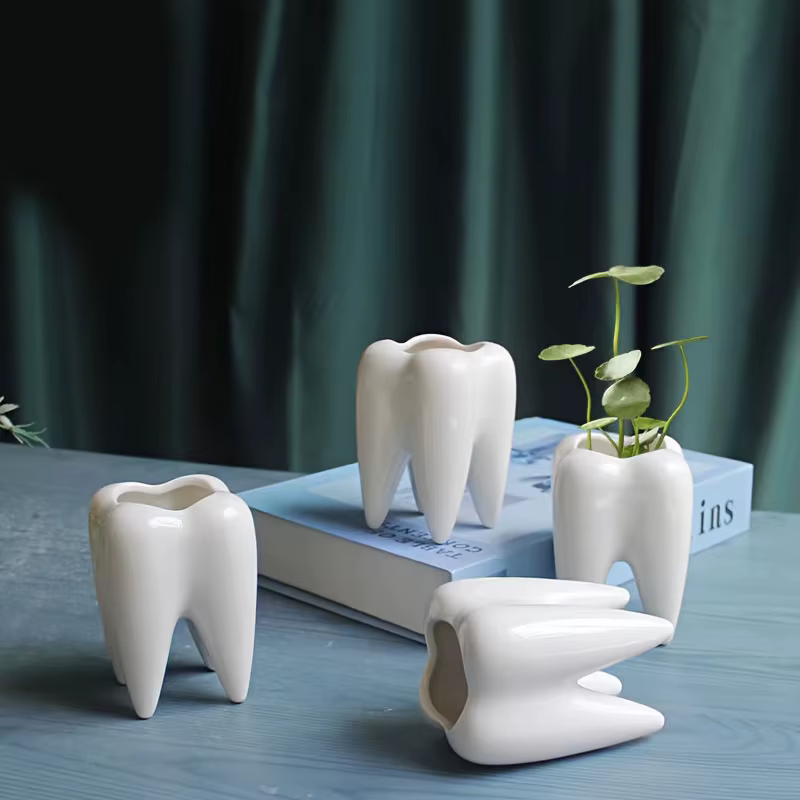 2 pots de fleurs, design en forme de dent