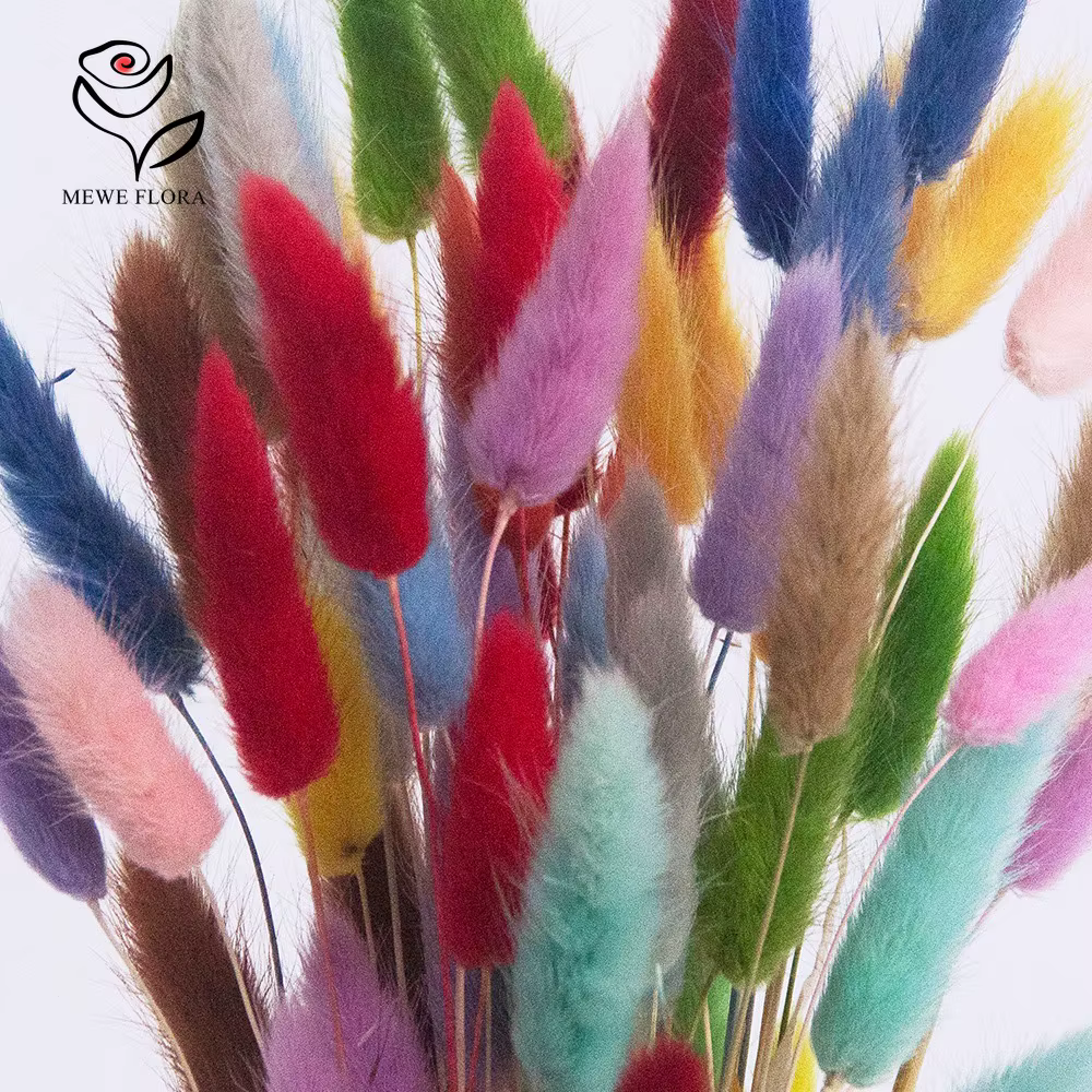 Vraies queues de lapin fleurs séchées mélangées 60 tiges Lagurus Ovatus herbe Pampas Bouquet pour mignon Boho maison mariage décor Photo accessoires