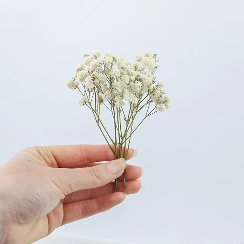 Paquet 50 fausses fleurs gypsophile séchées avec tiges vertes pour bouquets