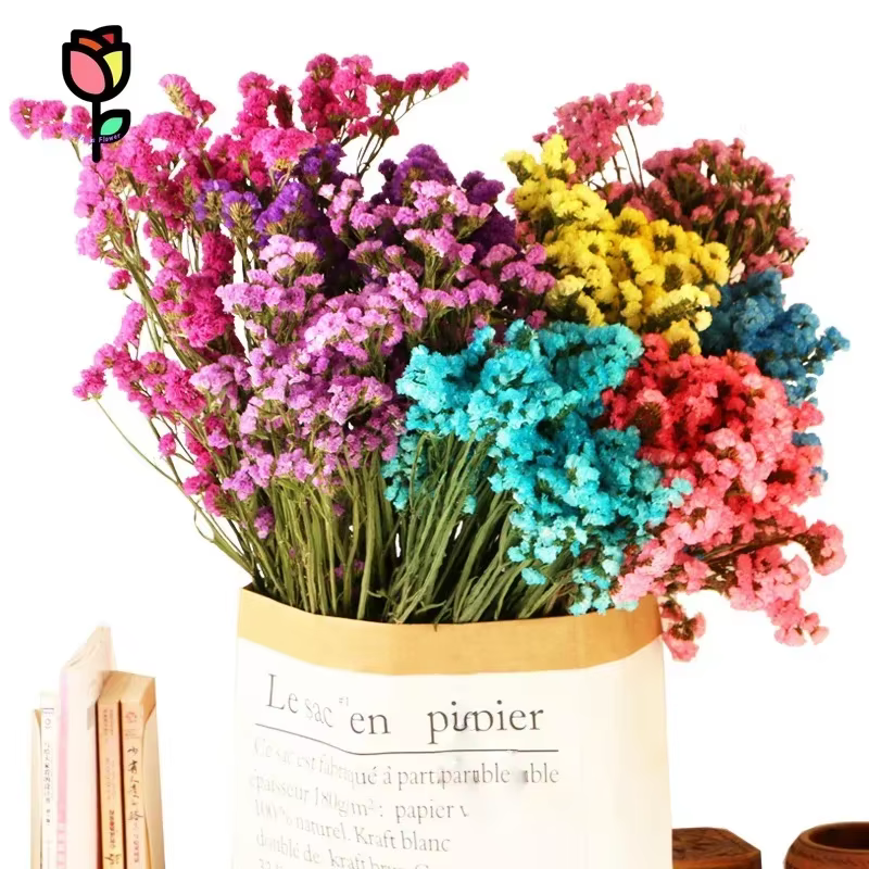 120g fleurs séchées naturelles oubliez-moi pas Bouquets décoration de mariage