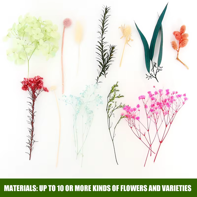 Ensemble de feuilles de fleurs séchées véritables
