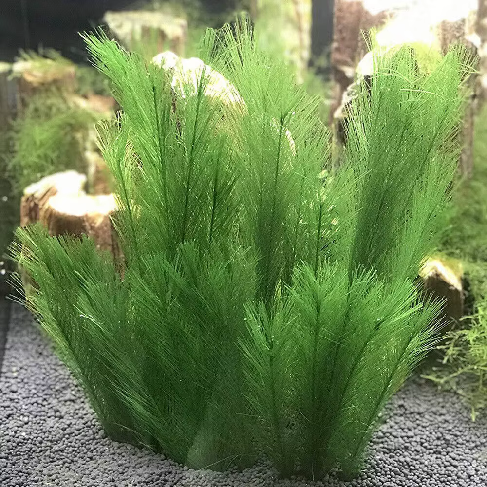 30cm Imitation eau herbe Aquarium aquatique plante artificielle fausse