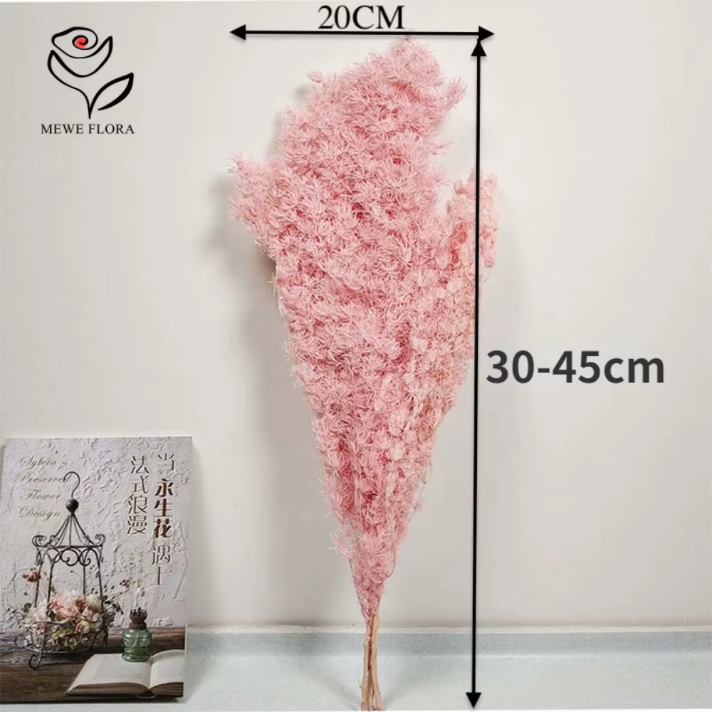 Fleur de penglai éternelle séchée