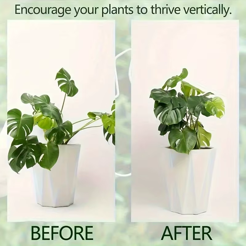 Stabilisateur de plantes
