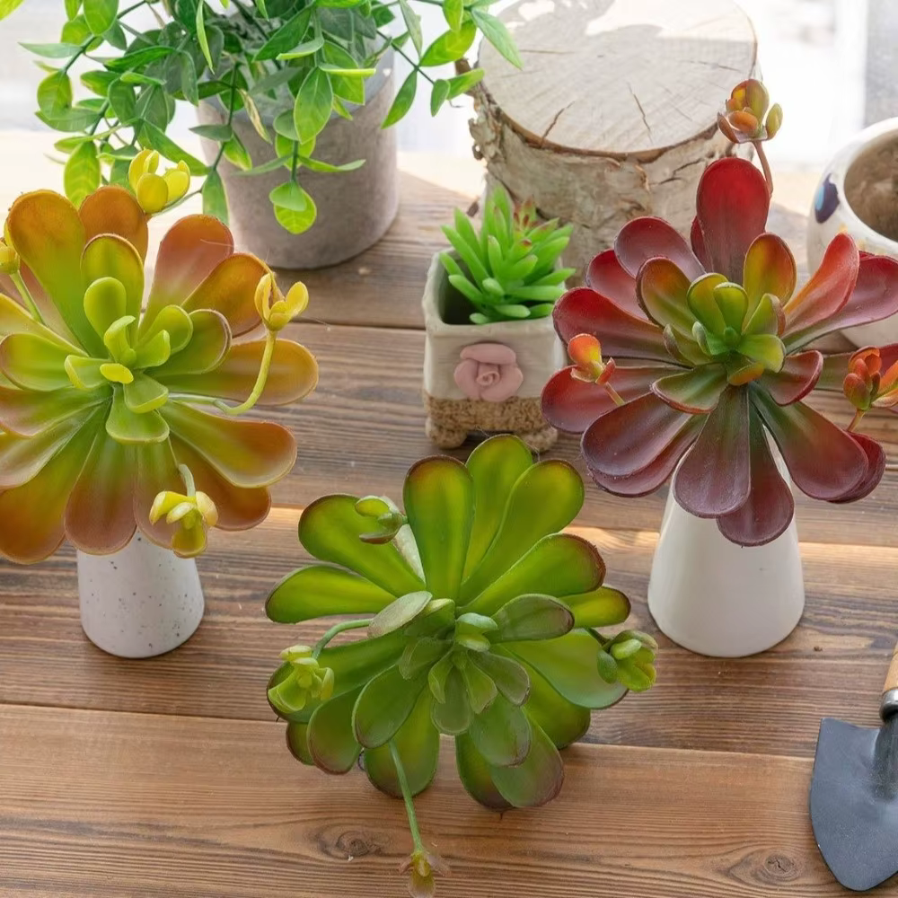 Plante succulente artificielle réaliste au toucher authentique