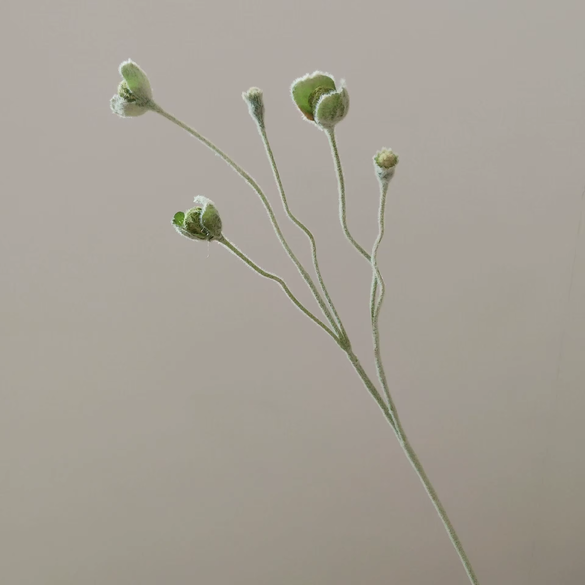 Branche de plantes vertes artificielles