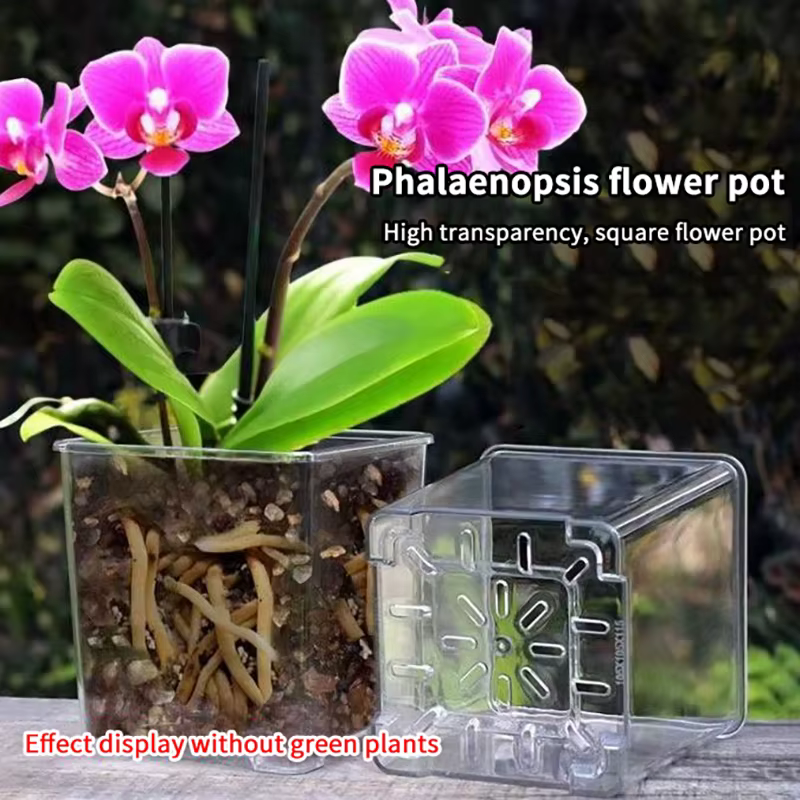Pot de fleur Transparent