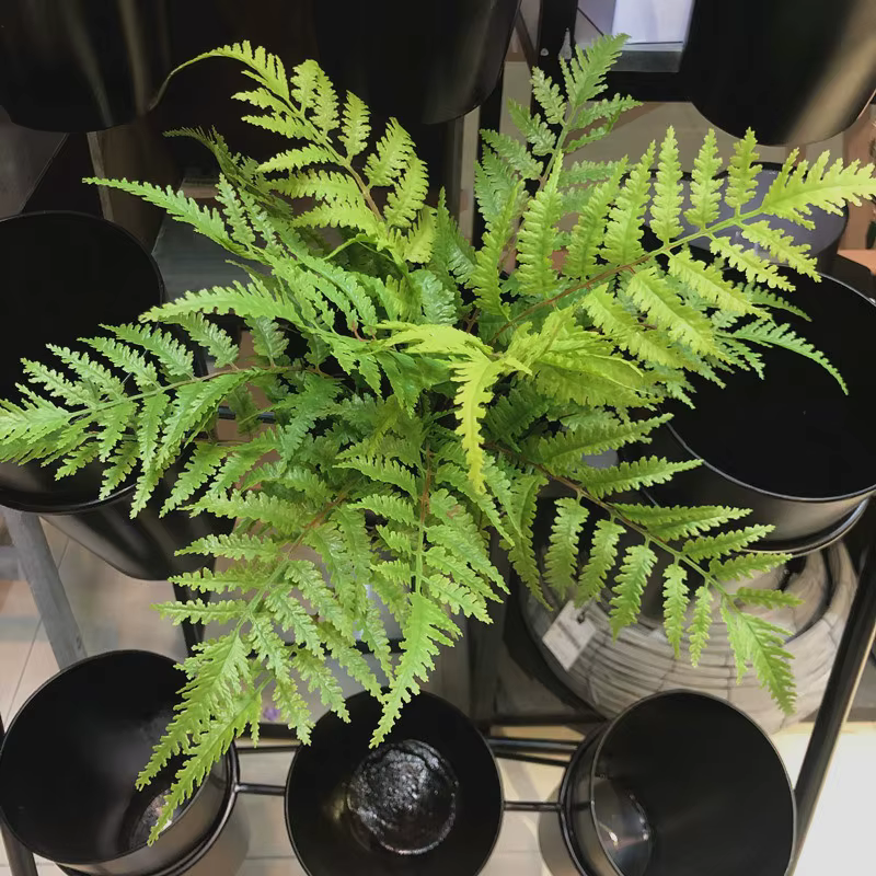 Plantes artificielles pour chambre à coucher