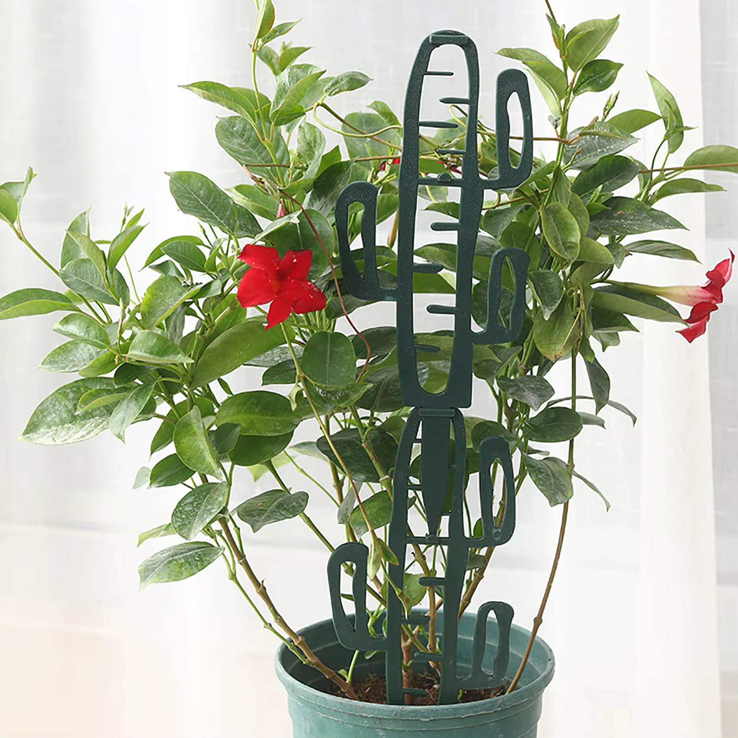 Support d'escalade pour plantes