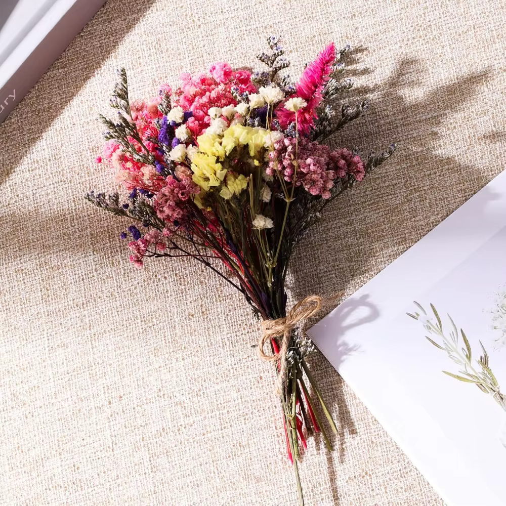 Boîte de matériaux floraux séchés en vrac pour l'artisanat