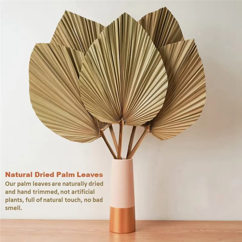 Feuilles de palmier naturelles séchées