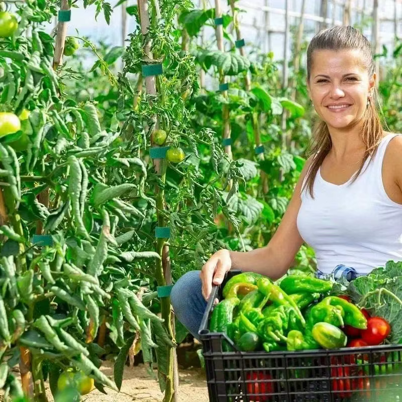 Attaches pour plantes en Nylon réutilisables de 10M