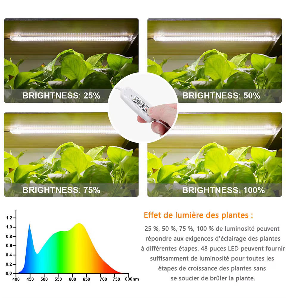 Lampe Phyto de lumière de croissance d'intérieur pour plantes Kits hydroponiques Phytolamp à spectre complet