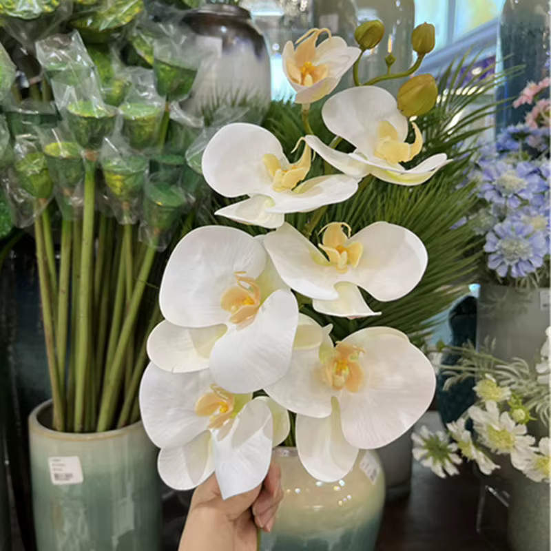 Orchidée Papillon au Toucher Réel