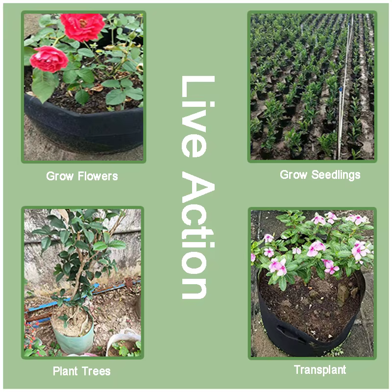 Nouveau sac de plantation en tissu Non tissé pour cultiver des fleurs