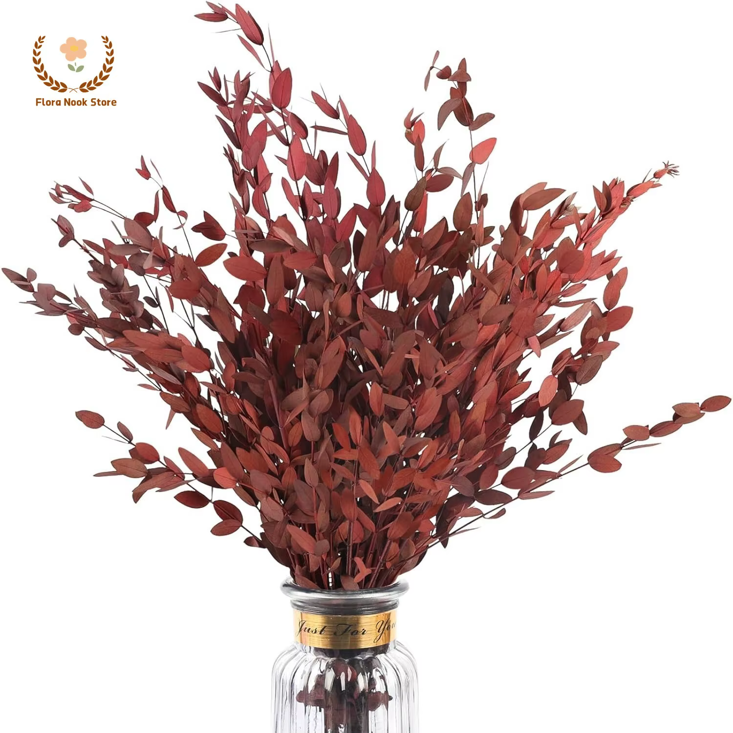 Bouquet de feuilles d'eucalyptus rouge véritable