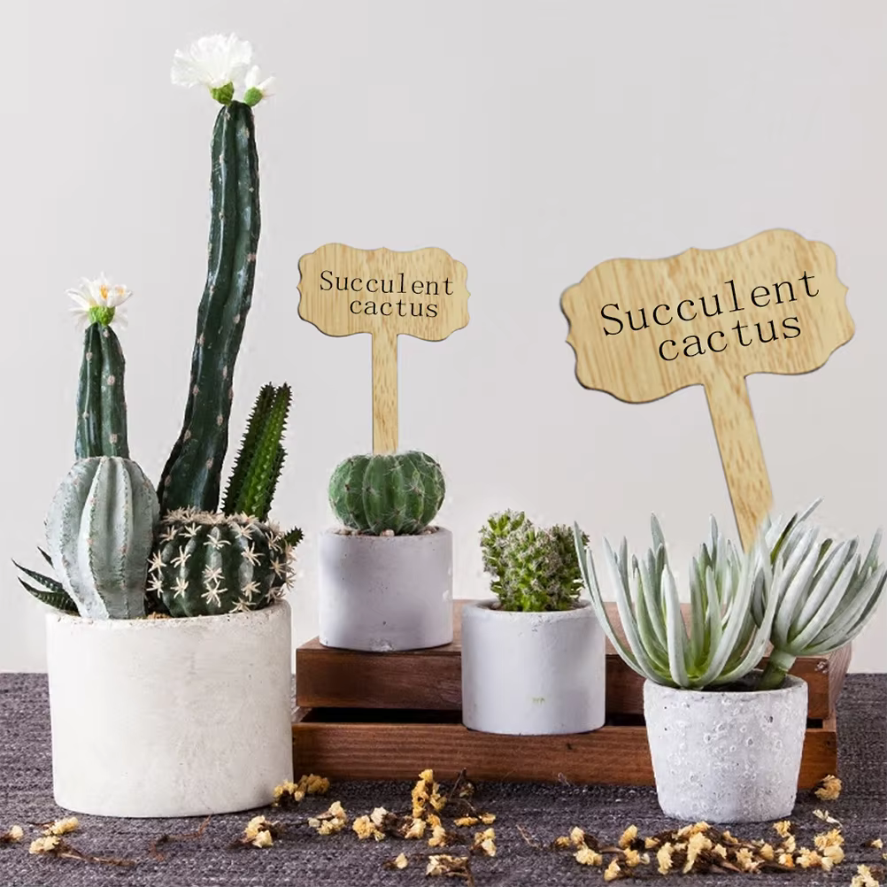Étiquettes de plantes en bois