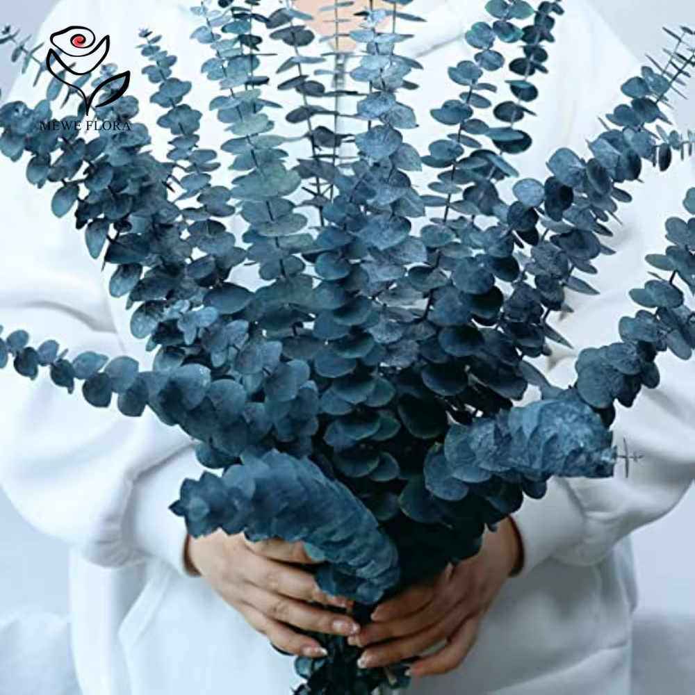 Feuilles d'eucalyptus éternelles pour la décoration intérieure