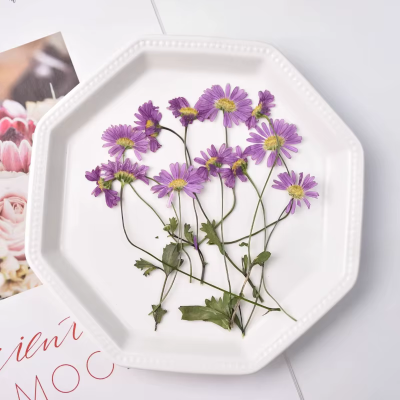 12 pièces, fleurs pressées séchées à l'iris à tige violette