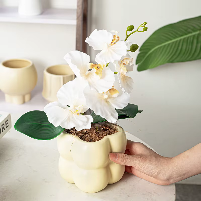 Vases à fleurs de dessin animé en forme de Koala