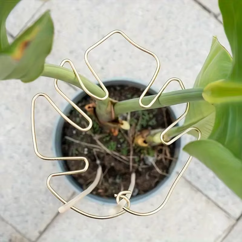 Grand support pour plantes suspendues