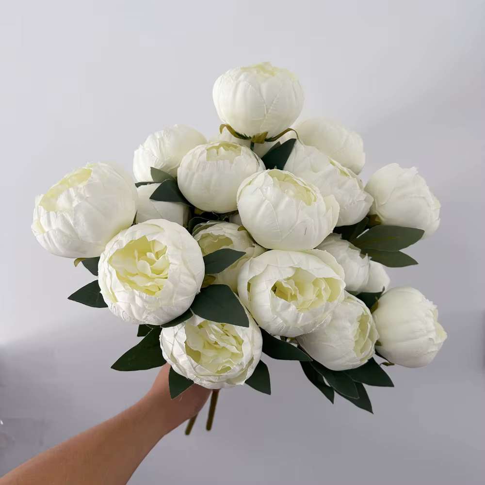 Pivoine blanche avec boutons de fleurs