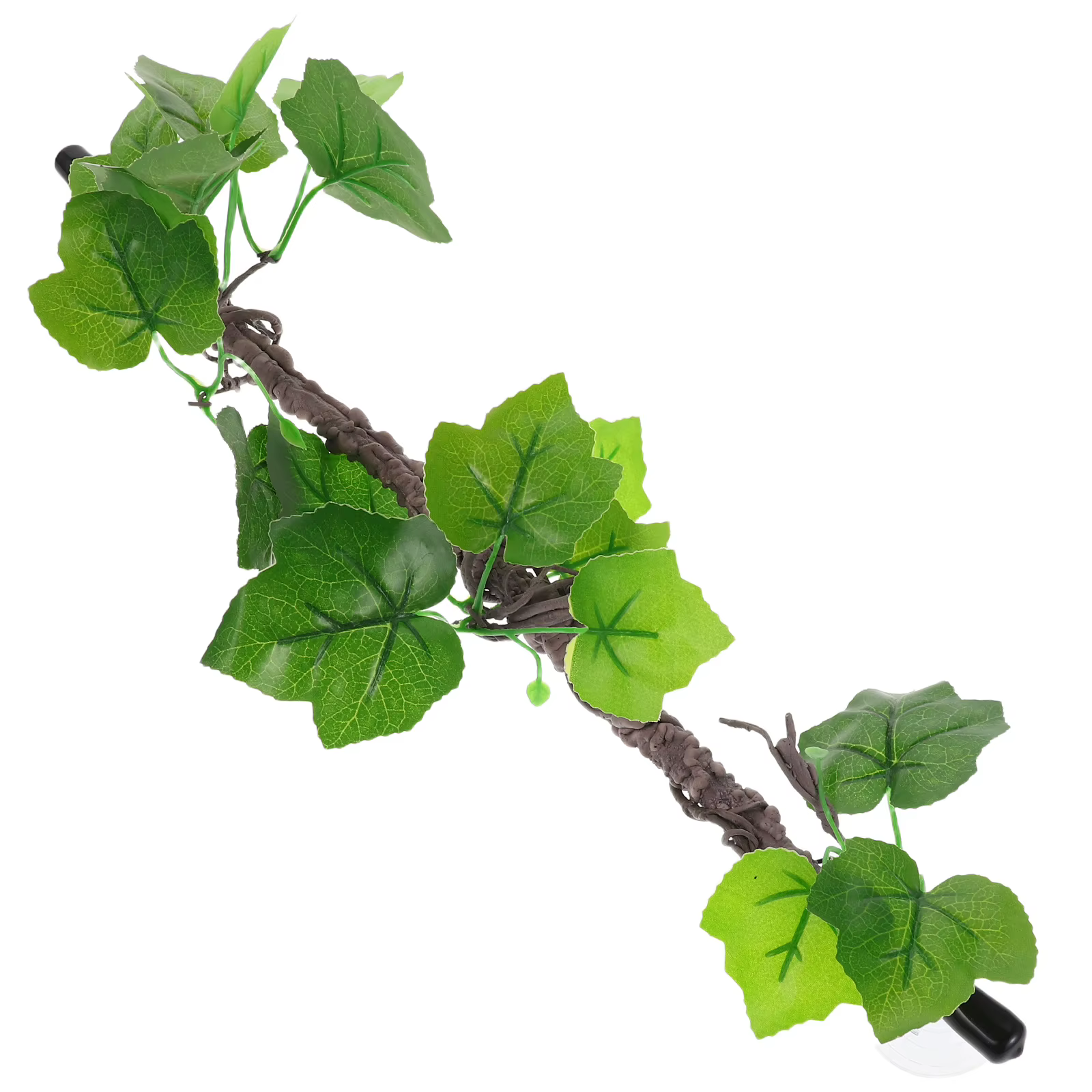 Branches de Reptiles, vignes de Jungle