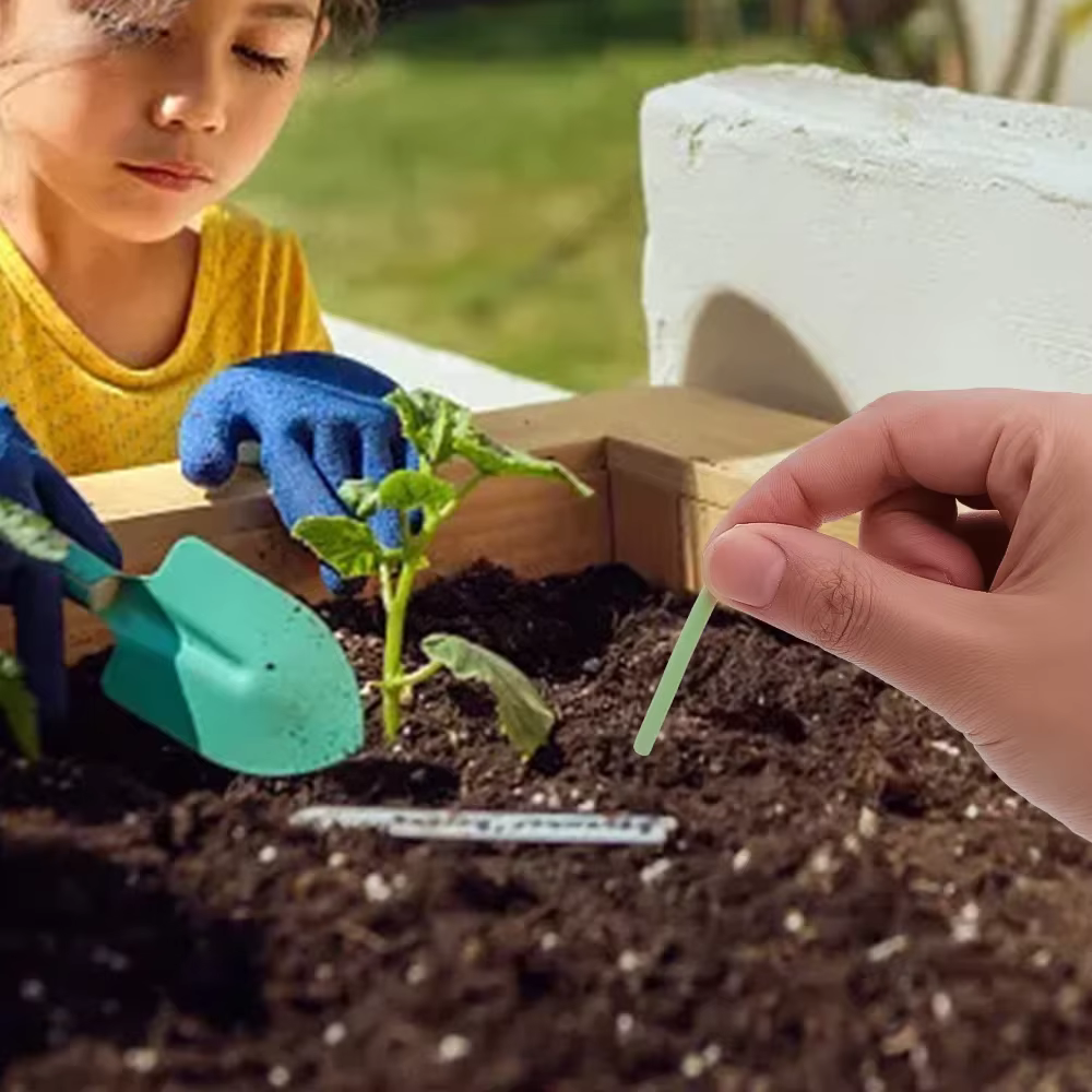 Bâton de croissance universel pour plantes en pot d'intérieur