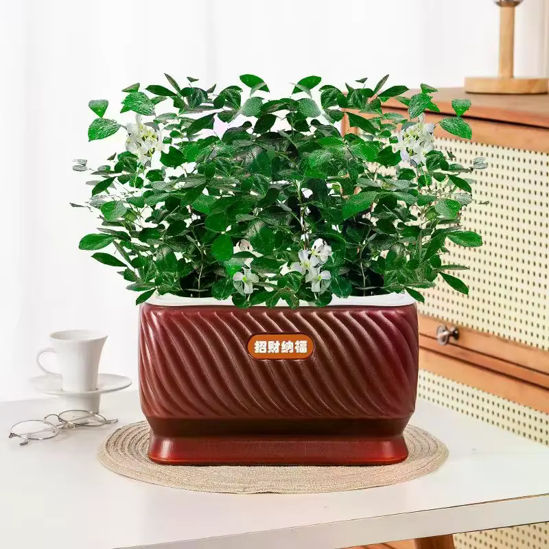Pot de fleurs auto-arrosant en plastique