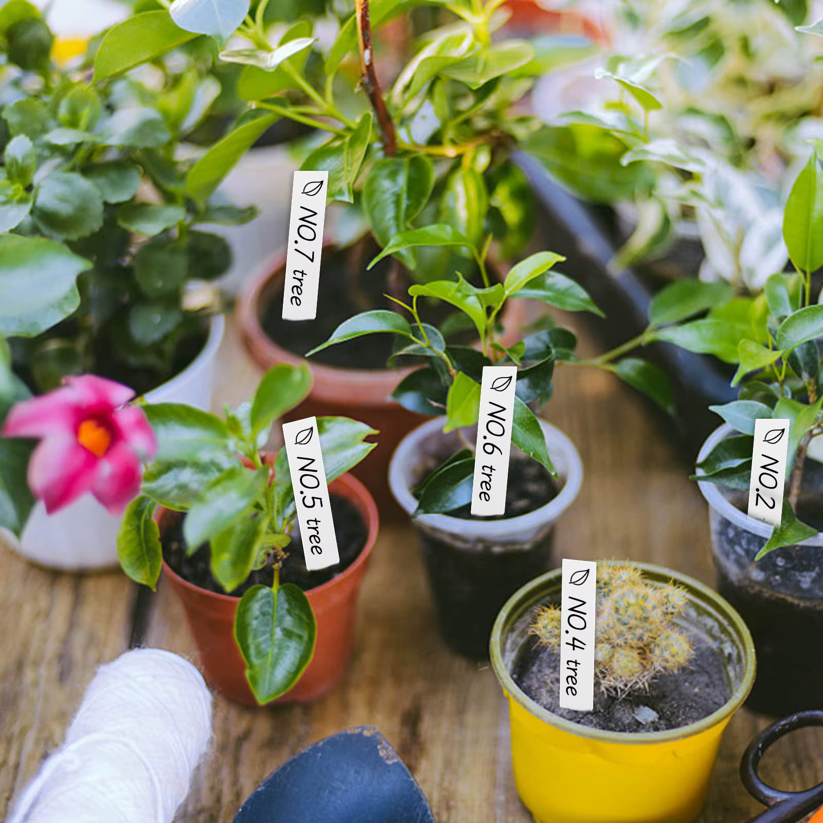 Étiquettes de marquage pour plantes