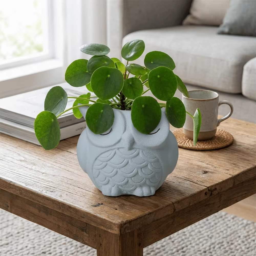 Pot à plantes unique en céramique en forme de hibou