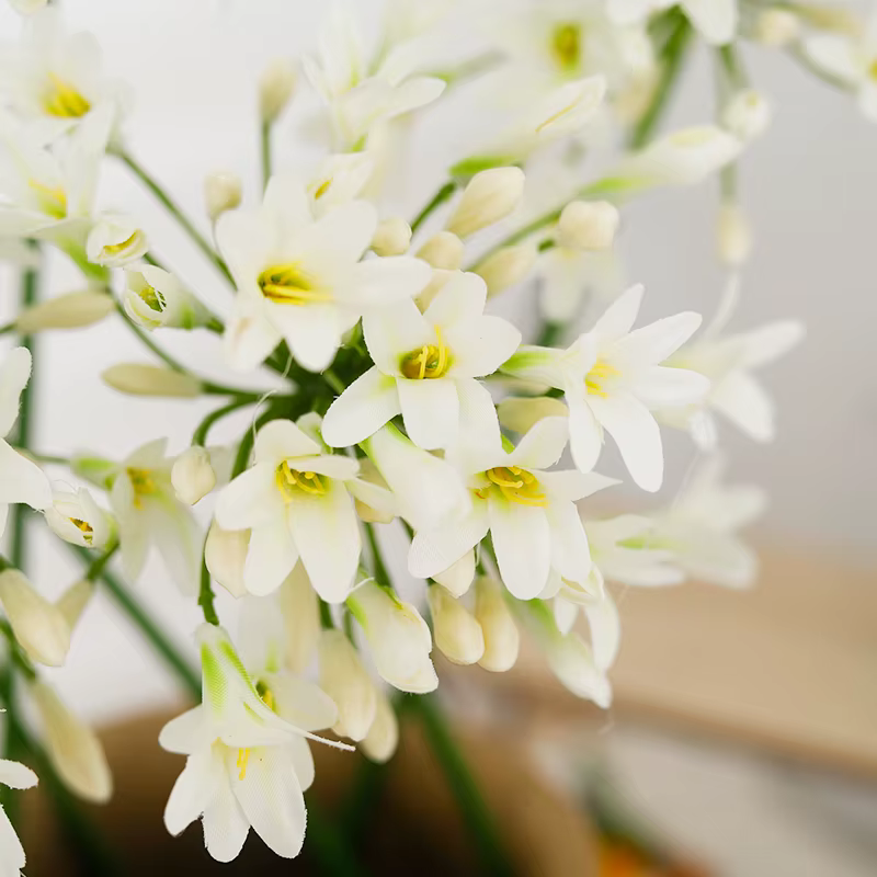 Fleurs artificielles d'agapanthe africaines de luxe