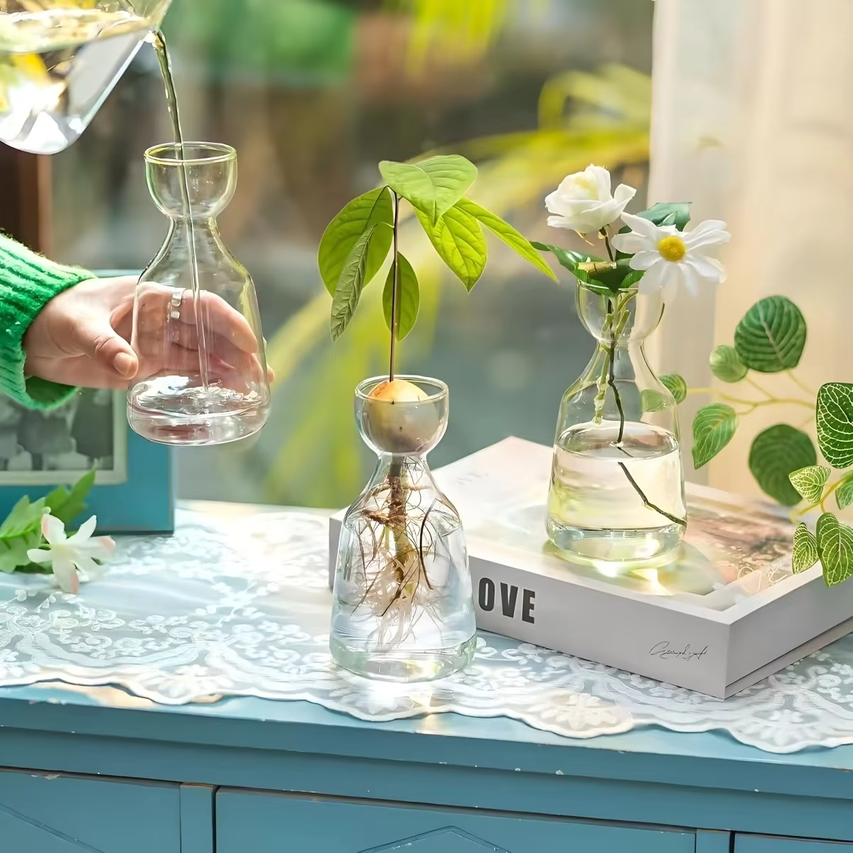 Kit de culture d'avocat - Vase de germination en verre pour les amateurs de jardinage