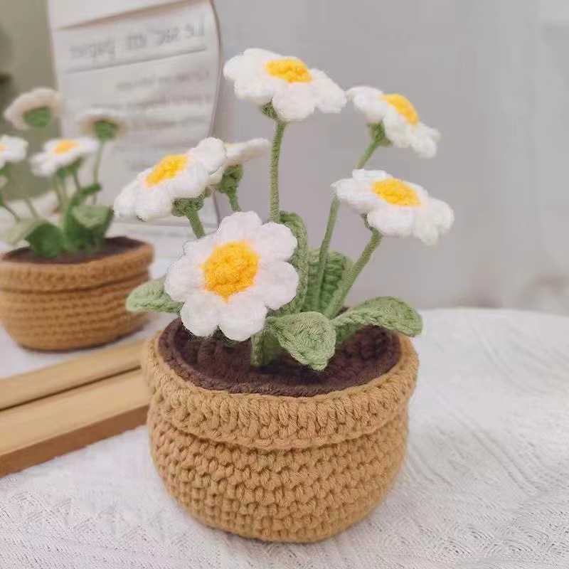 Kit de tricot au Crochet de fleurs