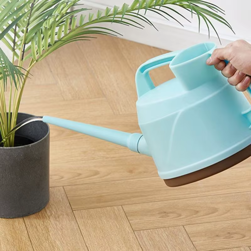 Arrosoir d'intérieur pour plantes d'intérieur