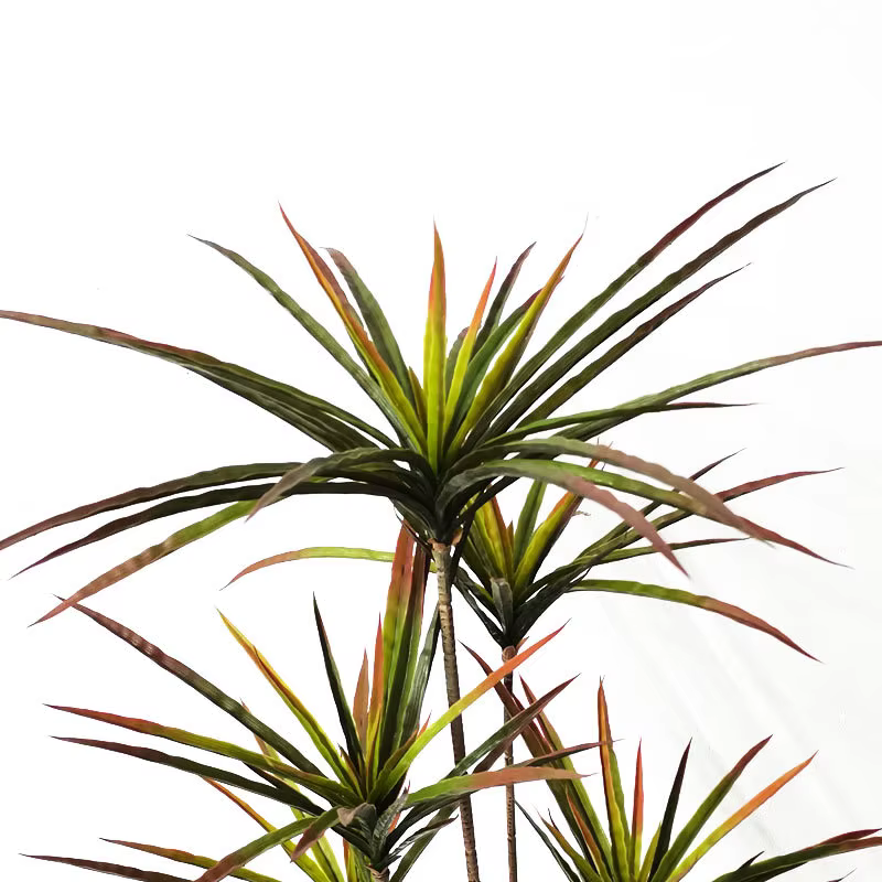 Plantes artificielles Dracaena