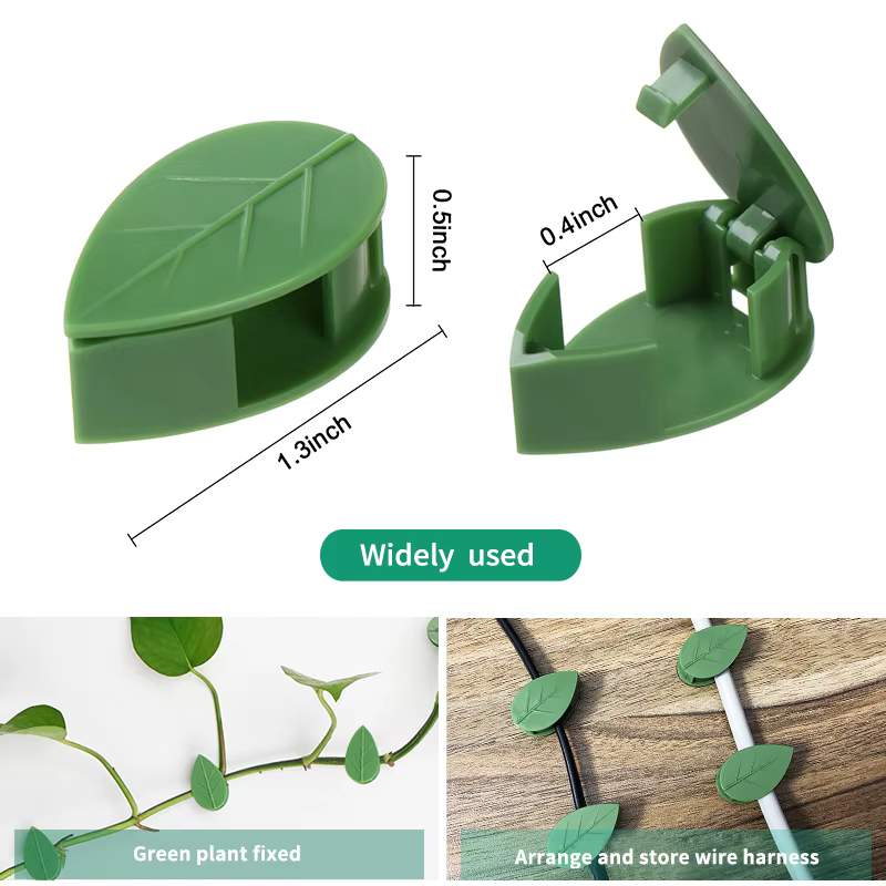 Fixation murale Invisible pour plantes grimpantes