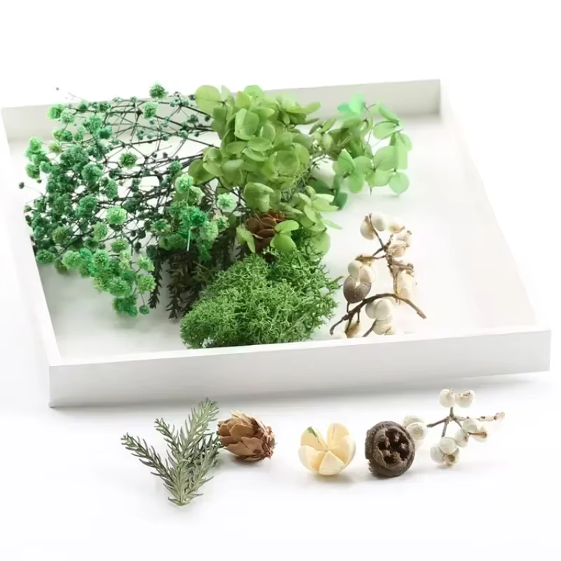 Plantes artificielles naturelles