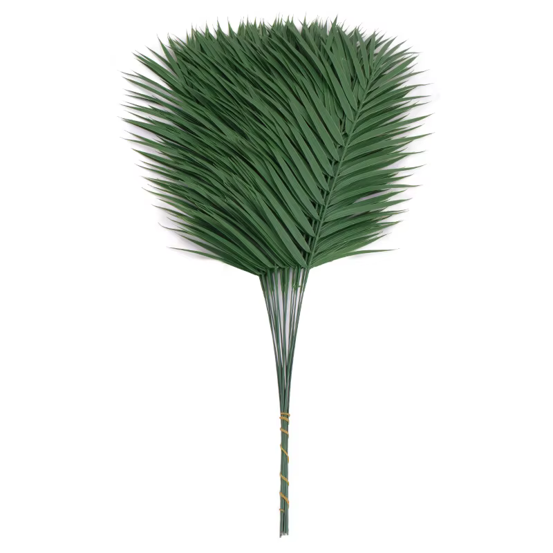 Feuilles de palmier Monstera Tropical