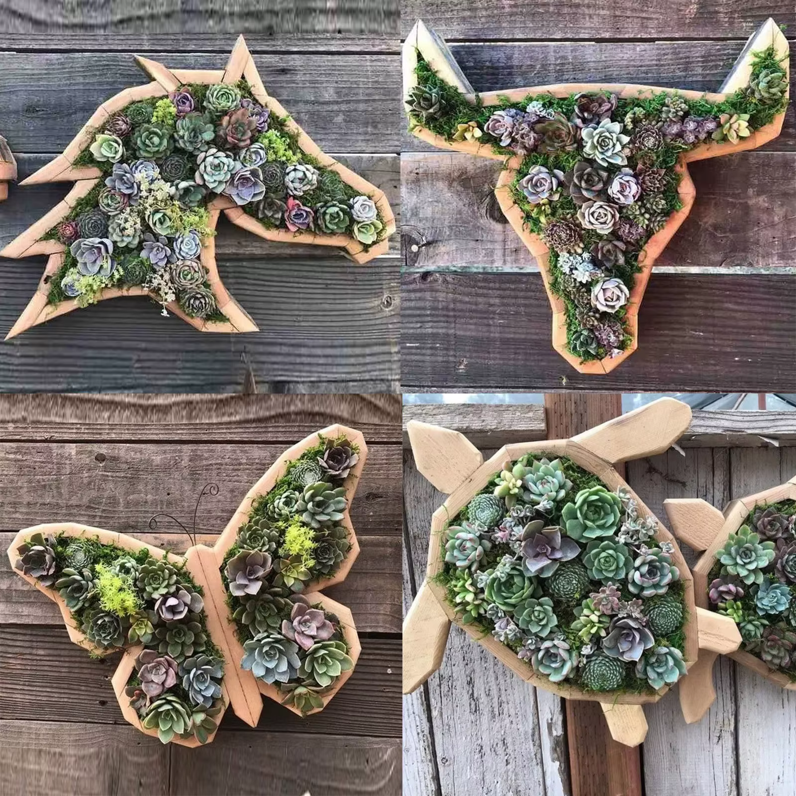 Pots de fleurs succulentes en bois en forme d'animal