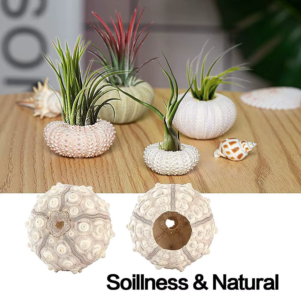 Pot de fleurs suspendu