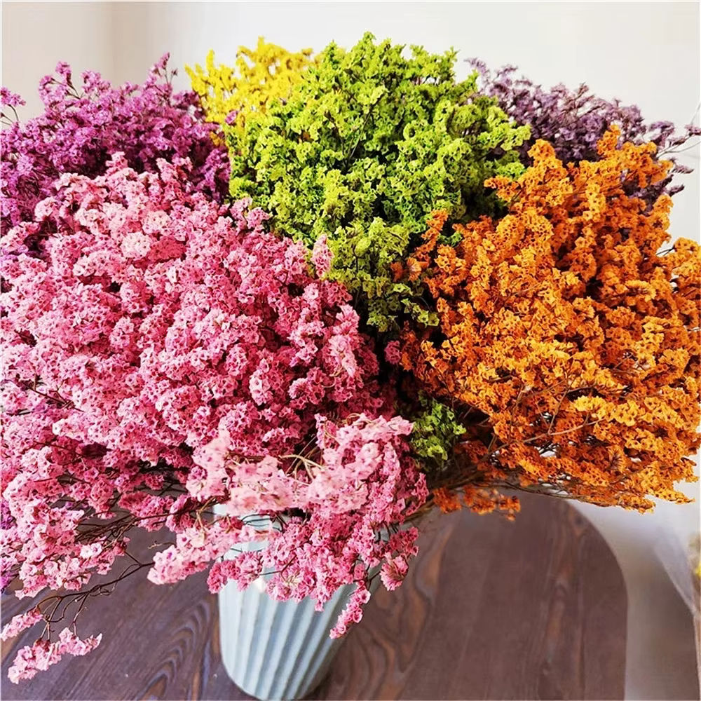 40-50cm, fleurs d'herbe en cristal séchées naturelles