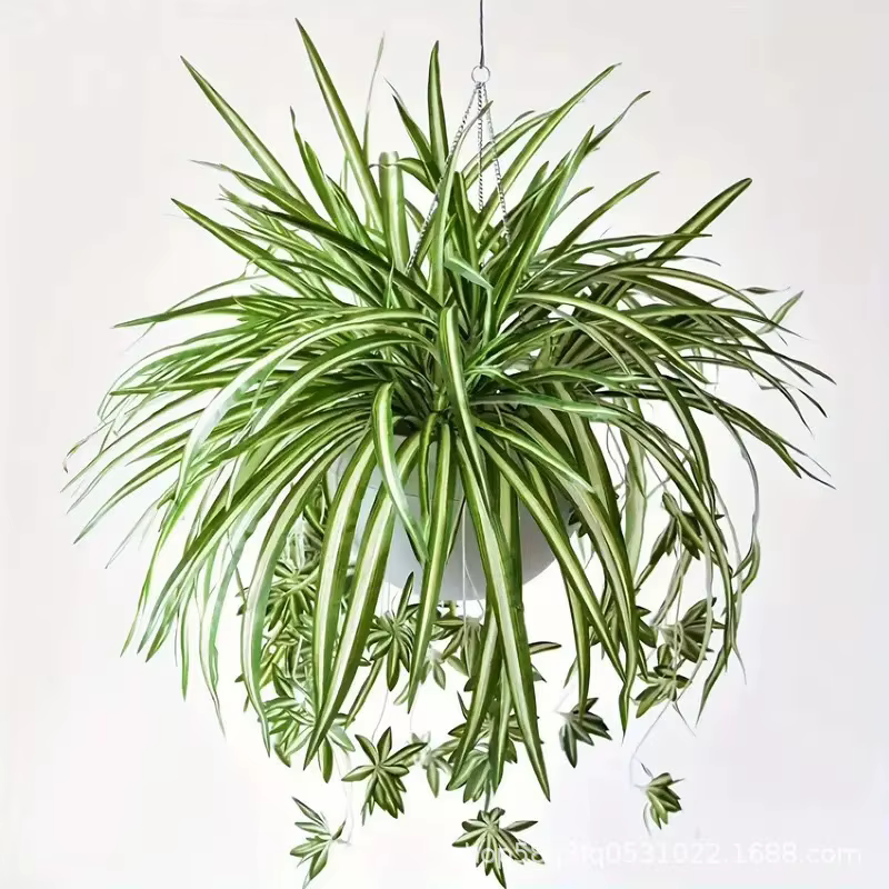 Plantes artificielles murales suspendues